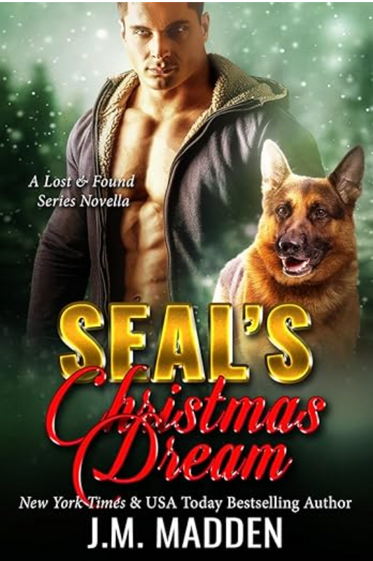 SEAL's Christmas Dream